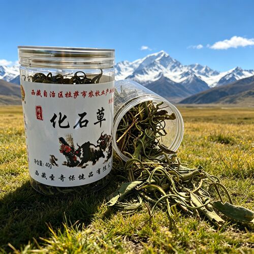 西藏化石草40g罐装拉萨直发