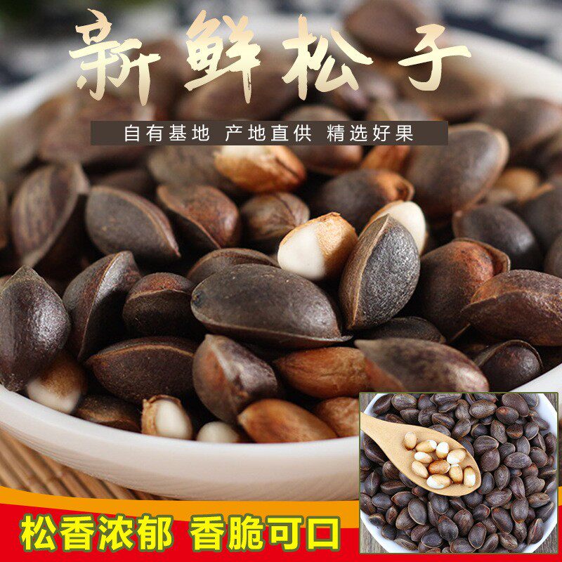 云南新鲜松子纯天然原味松子云南特产新货大颗粒薄壳散装批发坚果
