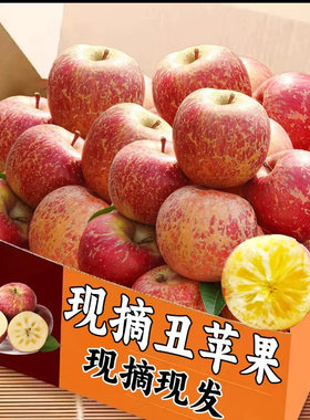 大凉山丑苹果冰糖心苹果四川盐源