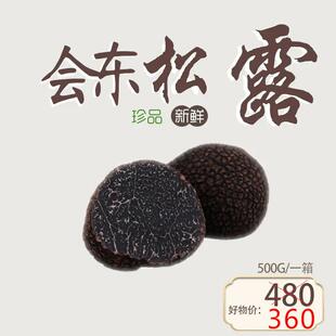 四川会东特产新鲜湿松露500g黑松露菌 现货新鲜松露野生块菌正品