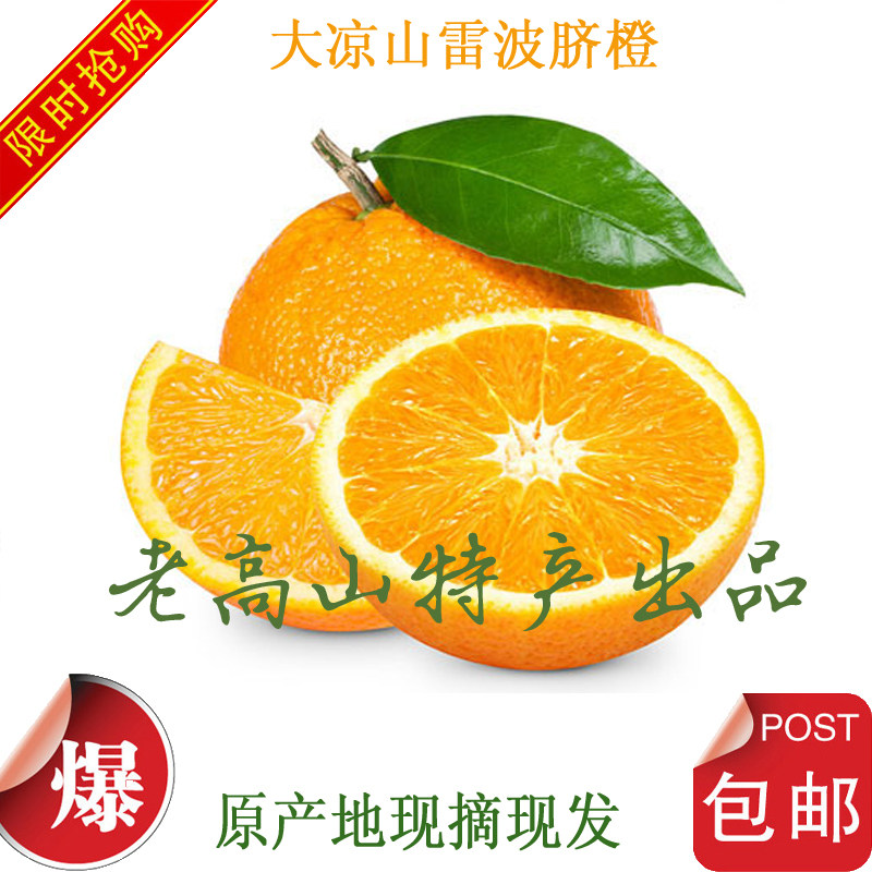 【现货包邮】正宗四川大凉山雷波脐橙脐橙纽荷尔新鲜10斤特级大果