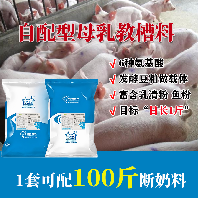 断奶小猪保育料教槽料猪饲料