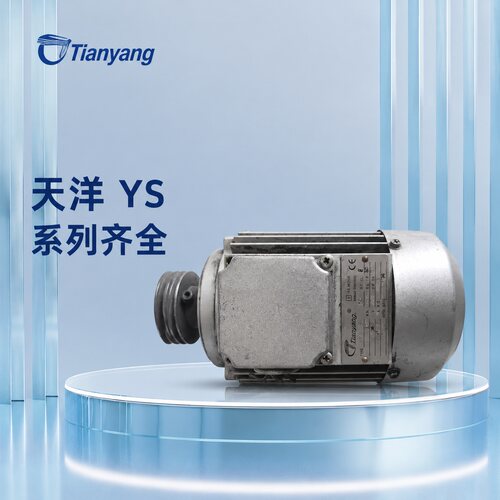 天洋电机YS6332YS6312YS6322