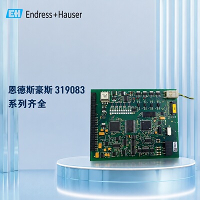 议价319083-0200D恩德斯豪斯 319083-0200