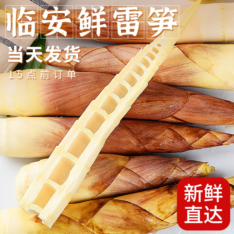 临安新鲜雷竹笋嫩笋尖现挖嫩芽去老根鲜嫩春竹笋腌笋尖新鲜蔬菜