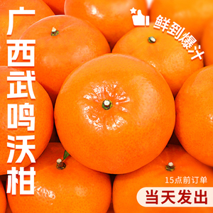 「官方推荐」新鲜现摘沃柑！现货