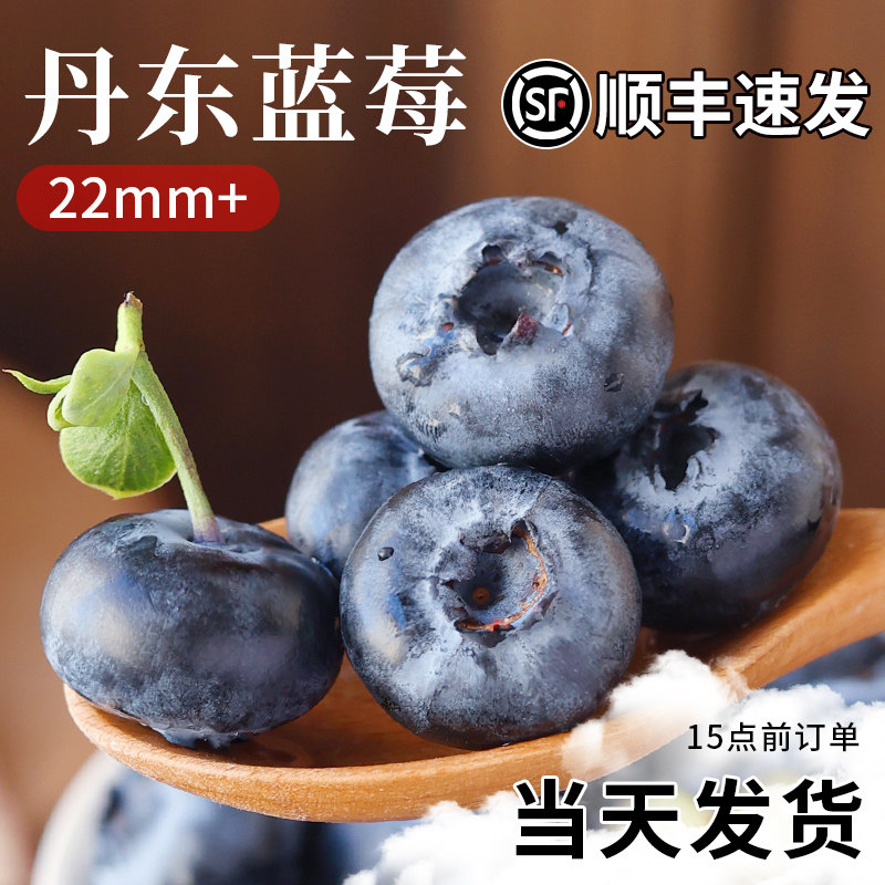 丹东蓝莓鲜果新鲜高端水果应当季蓝梅高山整箱包邮野果顺丰特大果