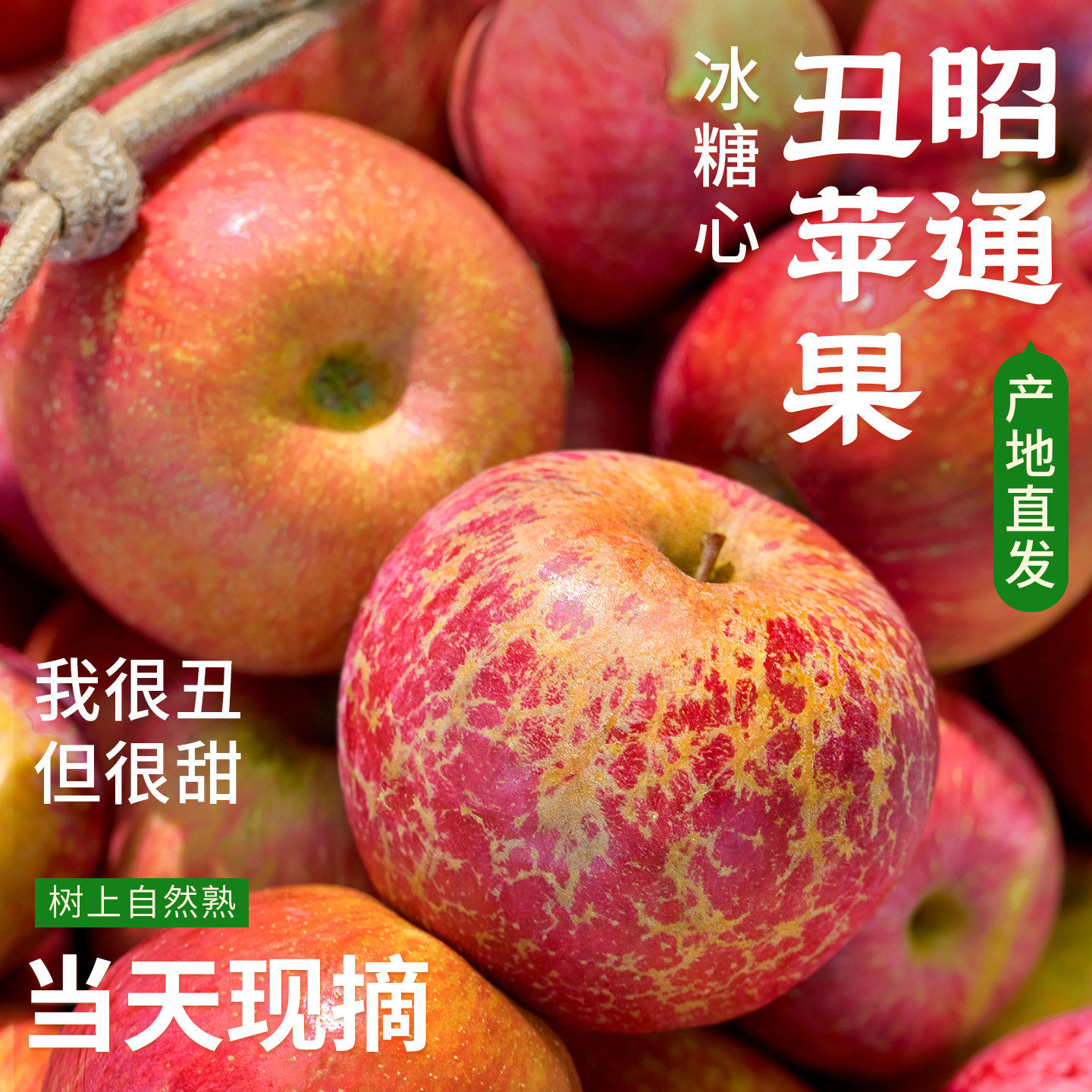 云南昭通丑苹果正宗冰糖心红富士新鲜水果应季当季整箱10斤大绍通