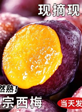 【官方推荐】正宗西梅！