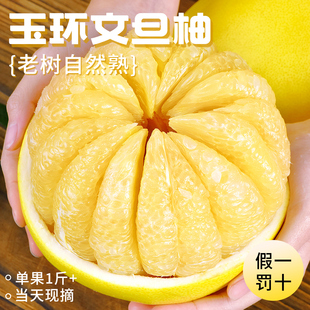正宗玉环文旦柚子当季整箱孕妇新鲜水果蜜柚浙江台州老树特产包邮