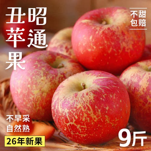 【产地直发】正宗昭通丑苹果！