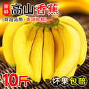 高山甜香蕉9斤新鲜水果当季 现摘大芭蕉小米蕉甜香蕉整箱自然熟10