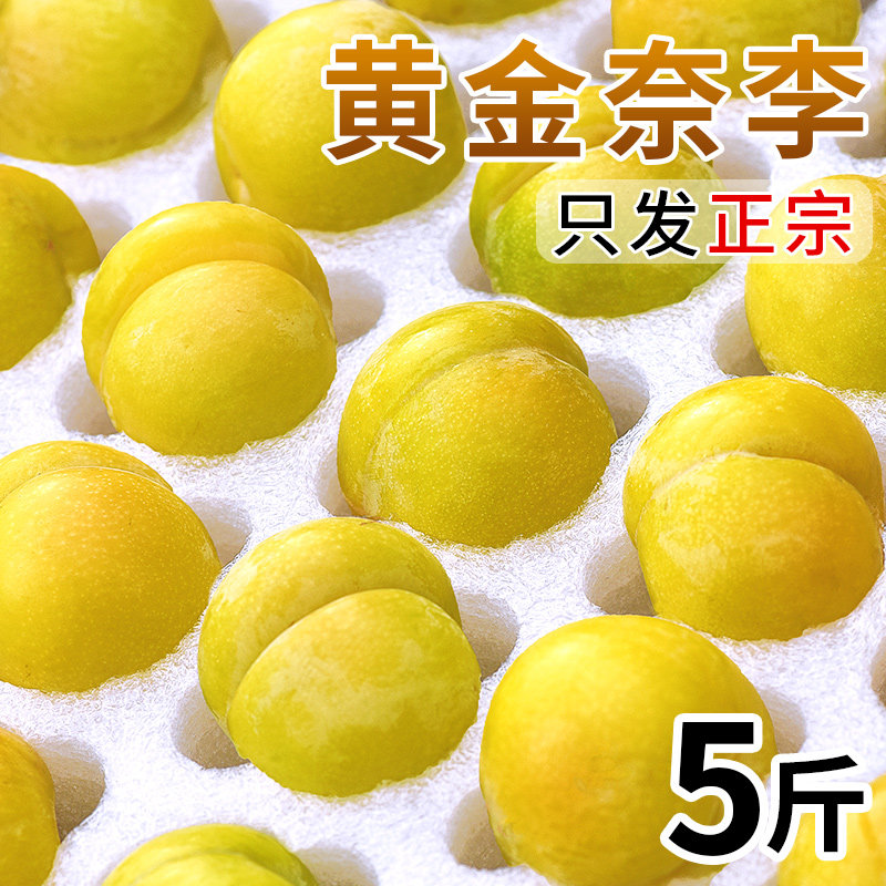 黄金奈李!脆甜多汁!