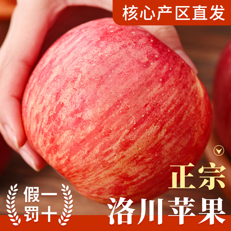 正宗洛川红富士苹果应当季新鲜水果整箱包邮陕西冰糖心纯甜大果,水产肉类/新鲜蔬果/熟食,苹果,淘宝优惠券,粉丝福利购,淘宝优惠卷