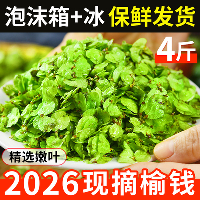 【商超品质】2026新鲜现摘现发