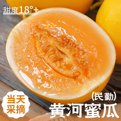 正宗沙漠黄河蜜瓜，大果脆甜多汁