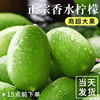 主图