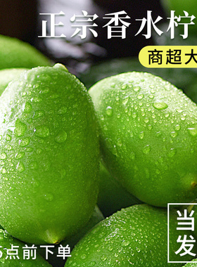 新鲜香水柠檬一级应当季水果非广东斤海南无籽青柠檬奶茶店专用