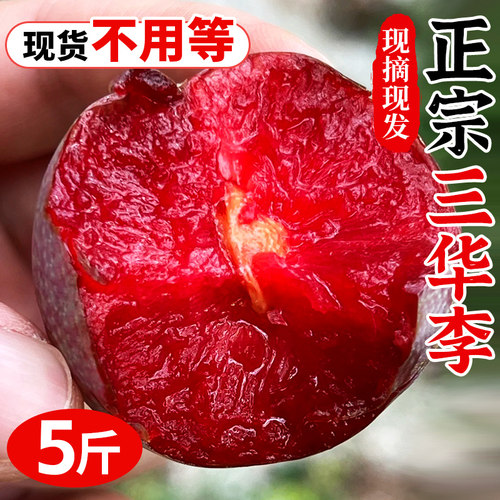 正宗红心三华李现货5斤