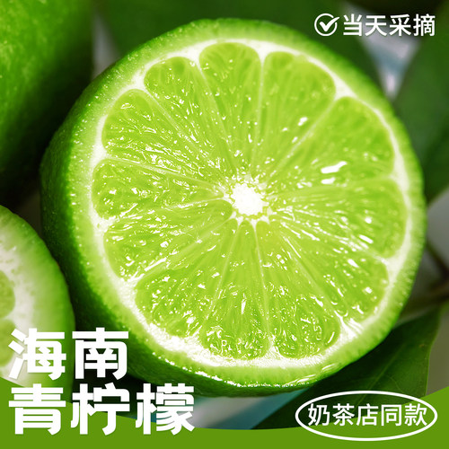 海南青柠檬维C炸弹当天采摘