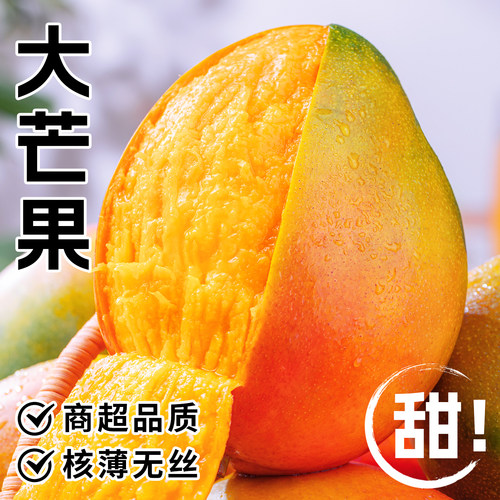 【官方推荐】大芒果现货速发