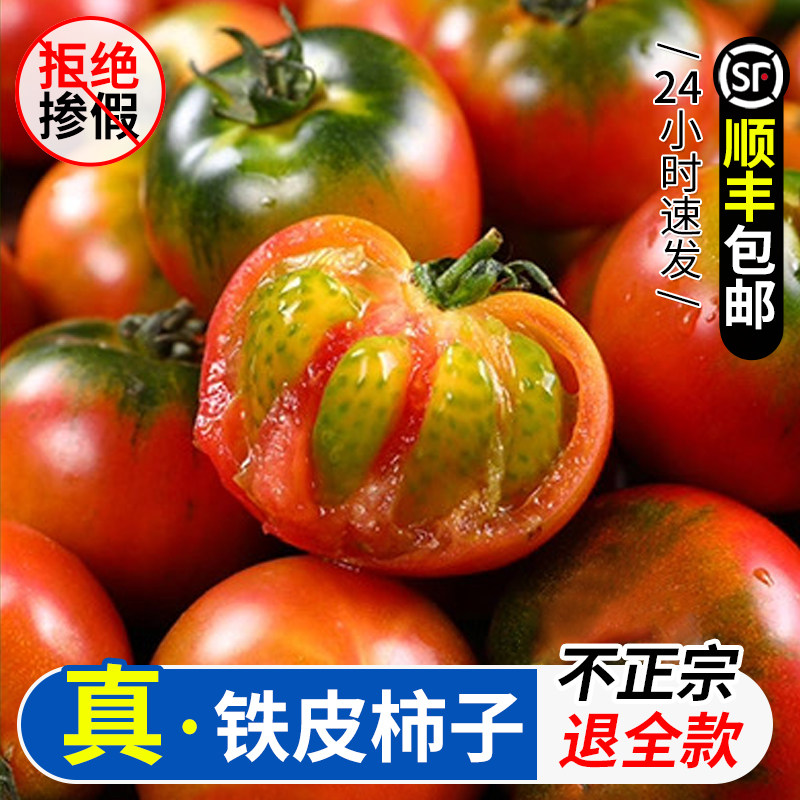 丹东铁皮柿子草莓西红柿东北绿腚番茄碱地油柿子新鲜水果包邮3