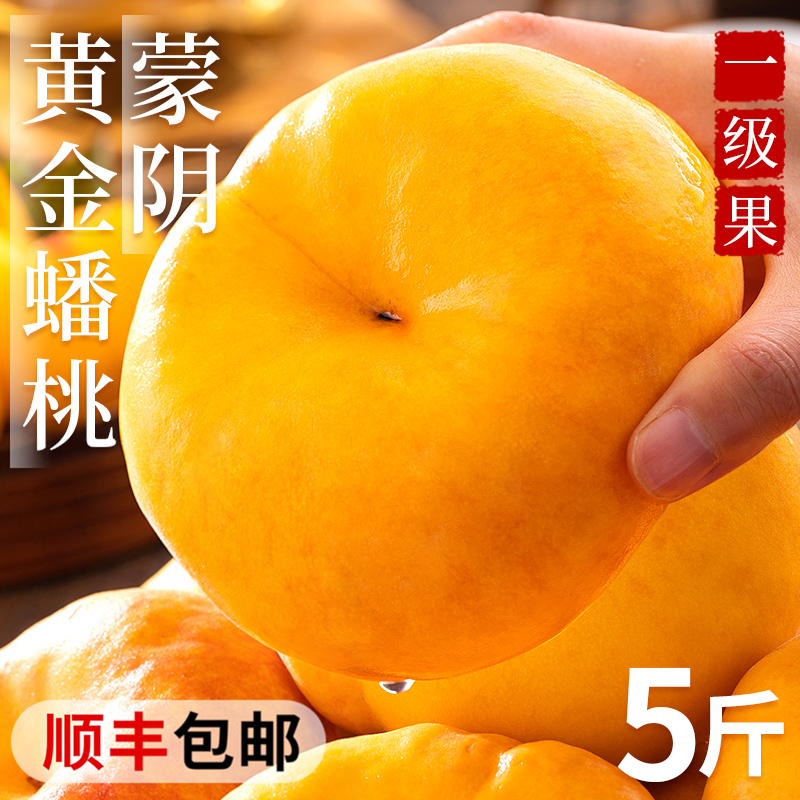 蒙阴黄金蟠桃5斤新鲜应当季整箱黄肉毛桃子现摘手撕扁桃水果包邮9