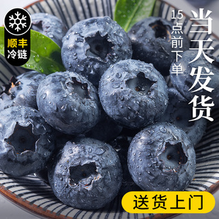 云南蓝莓新鲜水果当季蓝梅鲜果现摘L25花香高山孕妇整箱顺丰包邮