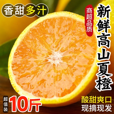 新鲜现摘夏橙香甜多汁