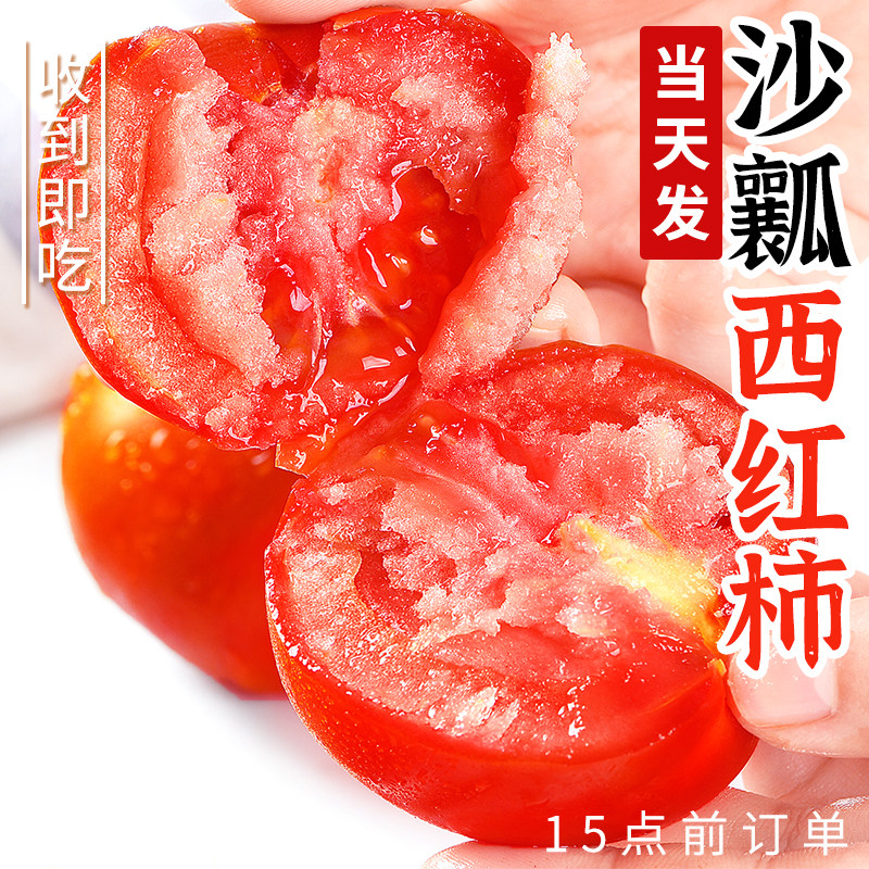 四川沙瓤西红柿番茄自然熟不打药当季新鲜蔬菜非普罗旺斯整箱发 - 福瑞达旗舰店出品