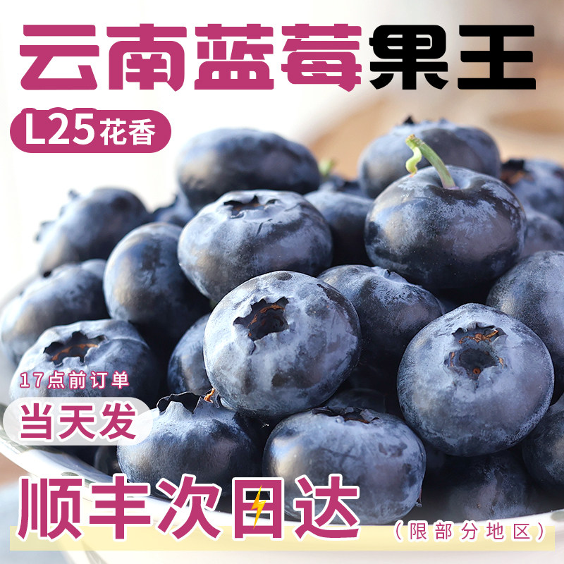 云南蓝莓新鲜水果当季蓝梅鲜果现摘L25花香高山孕妇整箱顺丰包邮