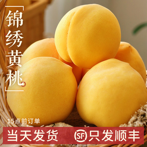 【只发顺丰】锦绣黄桃！