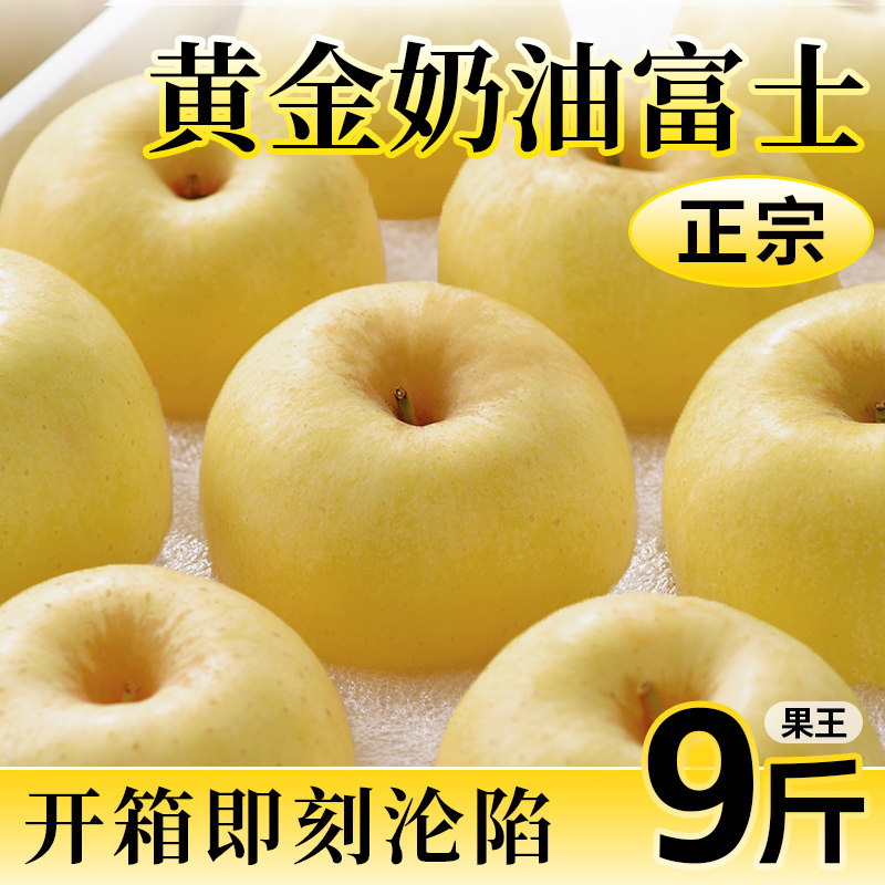 黄金奶油富士苹果正宗产地