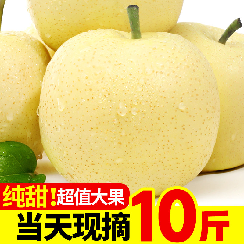 河北皇冠梨新鲜梨子10整箱水果当季脆甜鸭梨砀山白梨子香雪梨包邮,水产肉类/新鲜蔬果/熟食,梨,淘宝优惠券,粉丝福利购,淘宝优惠卷