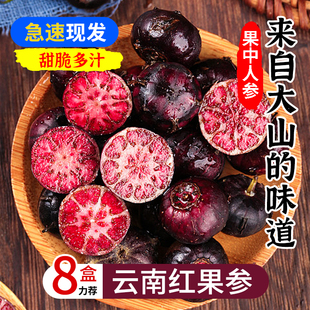 云南红果参新鲜水果算盘果当季蜘蛛果稀罕见现摘新鲜现发整箱包邮