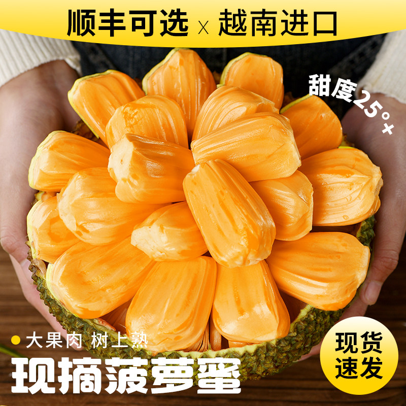 越南进口红肉菠萝蜜一整个新鲜红心波罗蜜干苞应当季水果整箱包邮,水产肉类/新鲜蔬果/熟食,菠萝蜜,淘宝优惠券,粉丝福利购,淘宝优惠卷