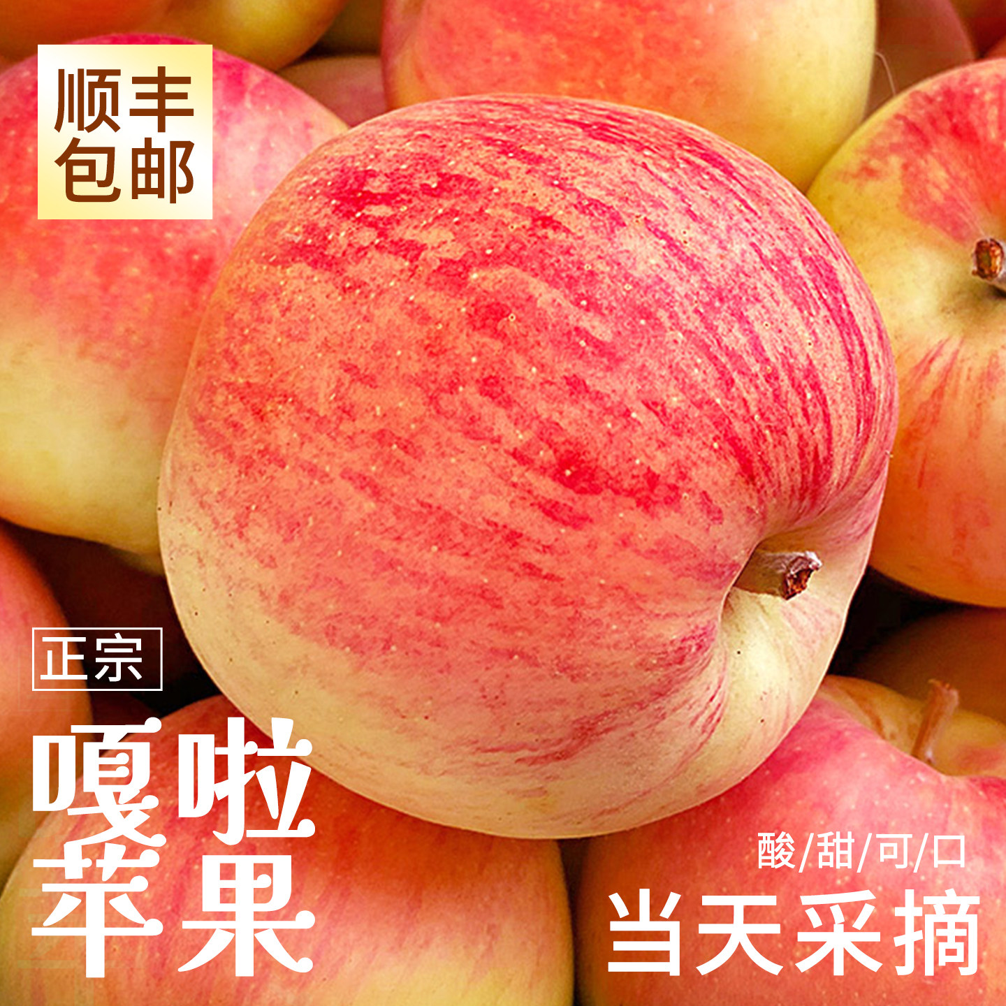 【顺丰包邮】现摘阿克苏嘎啦苹果