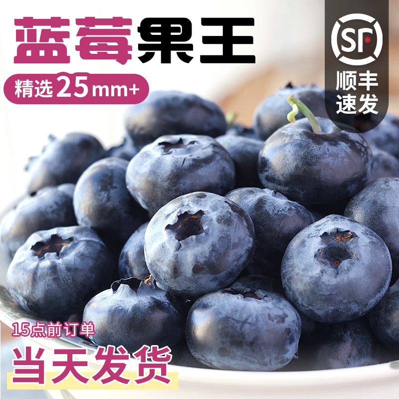正宗云南花香蓝莓新鲜水果当季蓝梅鲜果现摘高山孕妇大果整箱顺丰