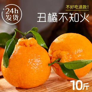 四川不知火丑橘10斤耙耙水果新鲜整箱当季 桔子丑八怪粑粑丑柑橘子