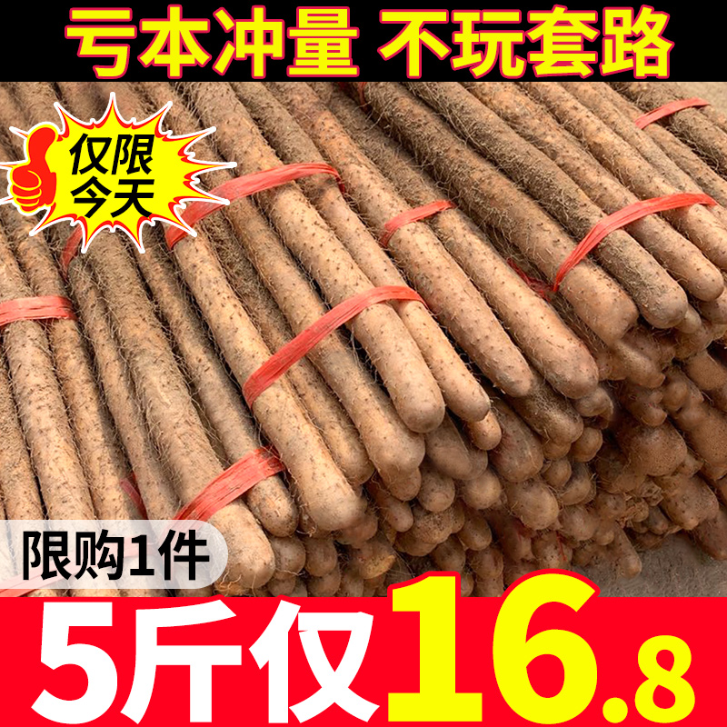 新鲜小白嘴山药5斤当季蔬菜铁杆山药紫色淮山药铁棍山药包邮10