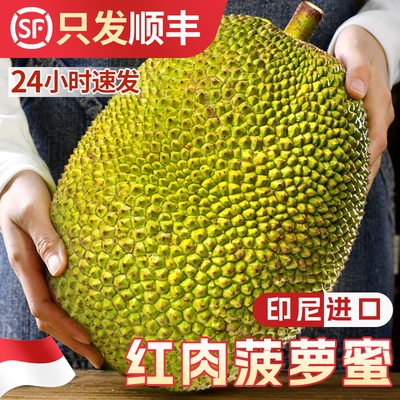 红肉菠萝蜜当天发货印尼进口