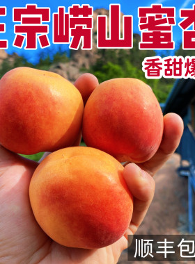 正宗青岛崂山蜜杏纯甜爆汁包顺丰
