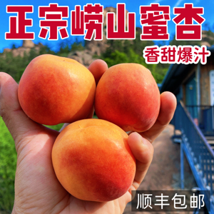 正宗青岛崂山蜜杏纯甜爆汁包顺丰