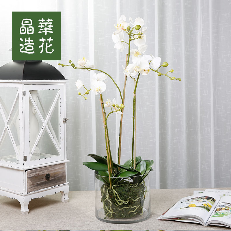 晶华盆栽卧室客厅摆件装饰花