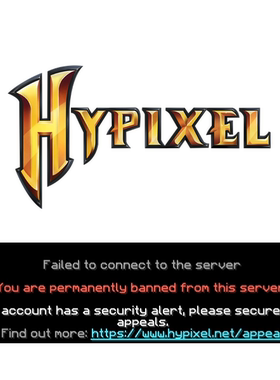 Hypixel 解决 安全警告 代提交 代申诉