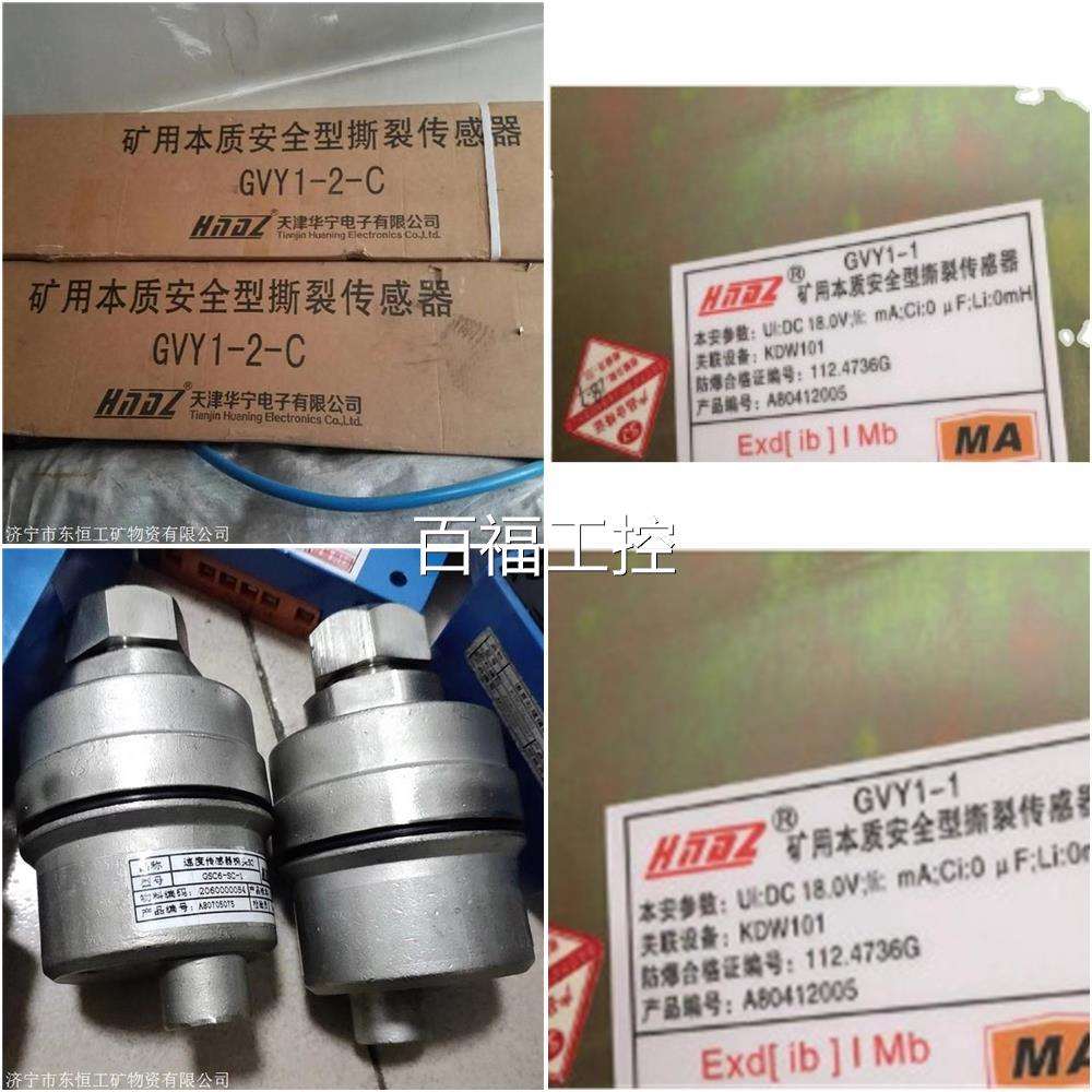 天津通用联GVH5矿本感安型撕裂传器维修议价