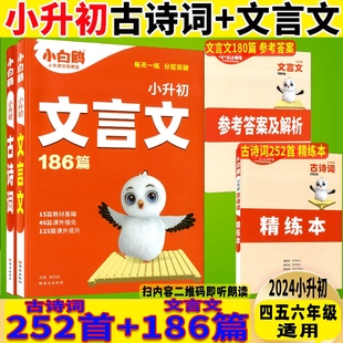 小升初文言文186篇 古诗词252首精讲精练本 2024新版 2本小白鸥 小学古诗词文言文阅读与训练满分四五六年级学生使用冲刺原星空出品