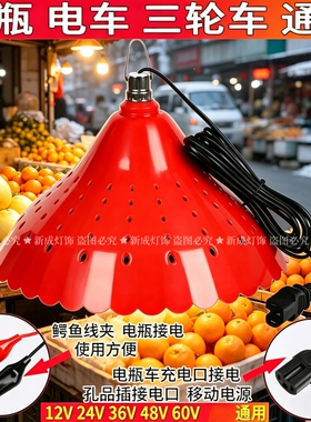 LED低压48V12Vled灯电瓶灯泡60V通用三轮车摆摊专用灯摆摊夜市灯1