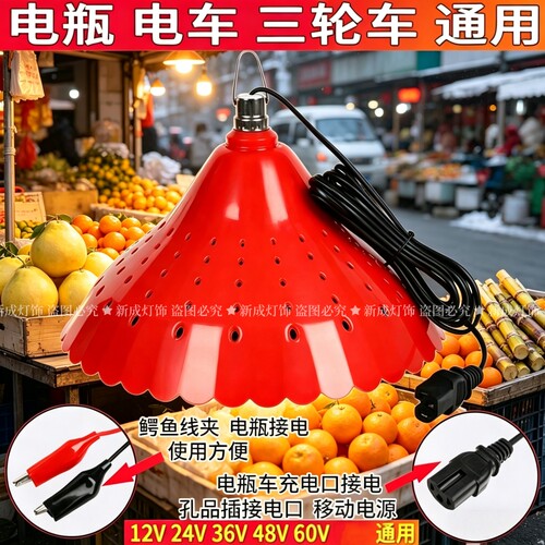 LED低压48V12Vled灯电瓶灯地摊灯