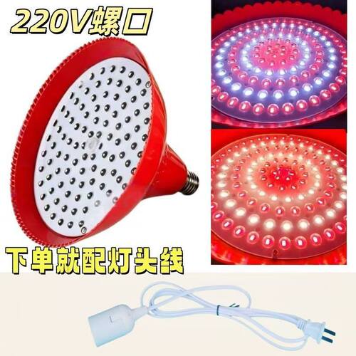 220V高亮E27螺口全白光led灯自然光照明灯超亮白光节能灯吊灯